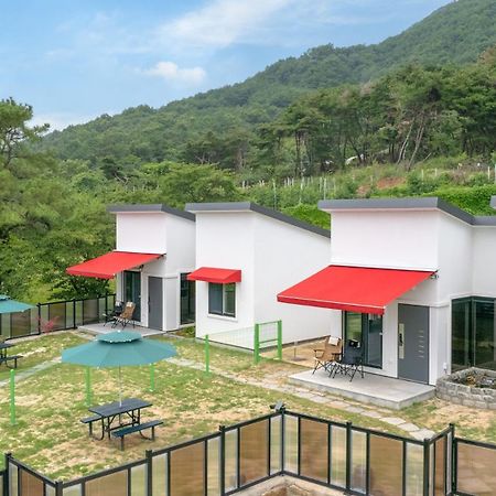 Gyeongsan Stage-ipple Pet Pension Exterior photo