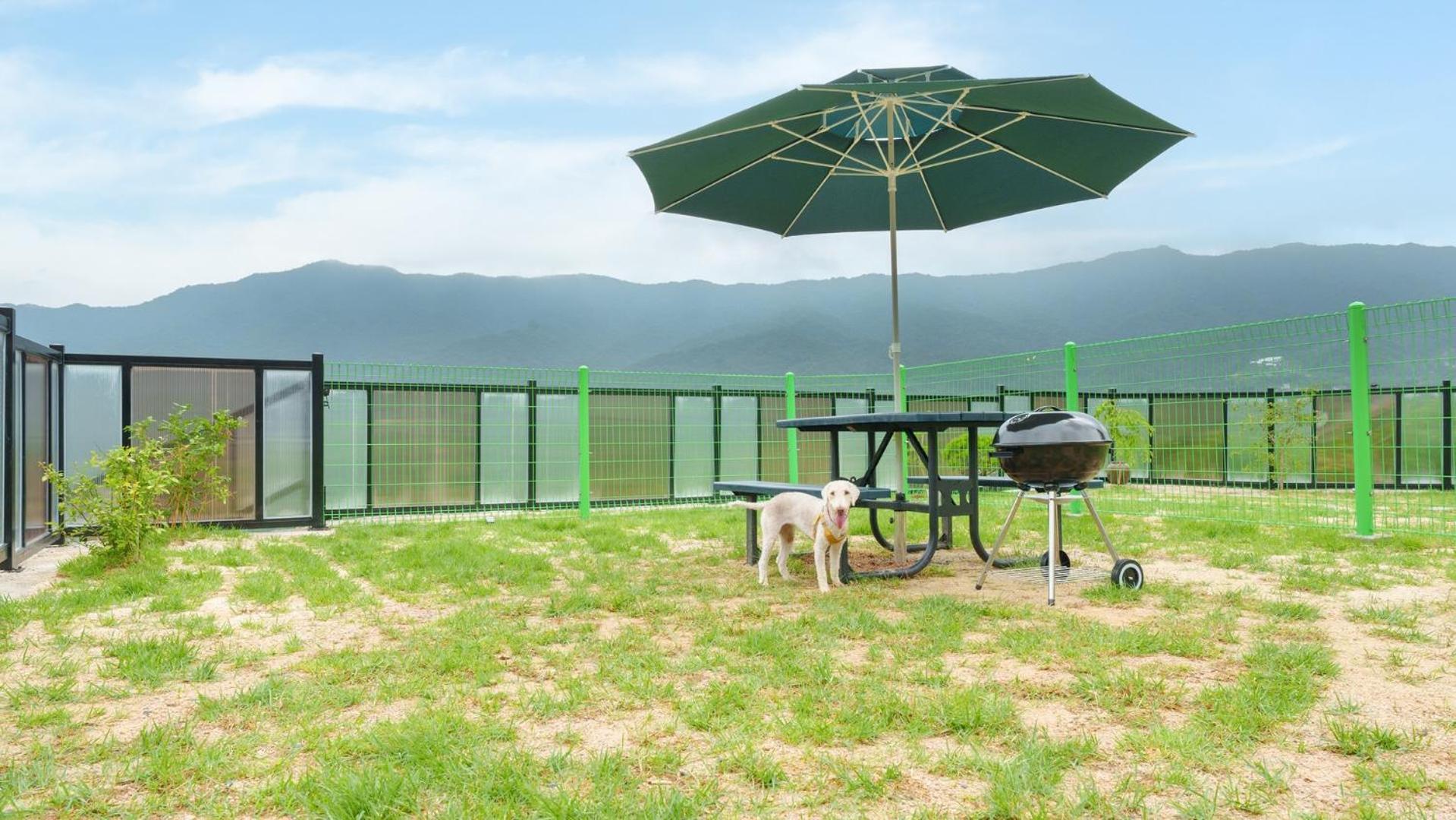 Gyeongsan Stage-ipple Pet Pension Room photo