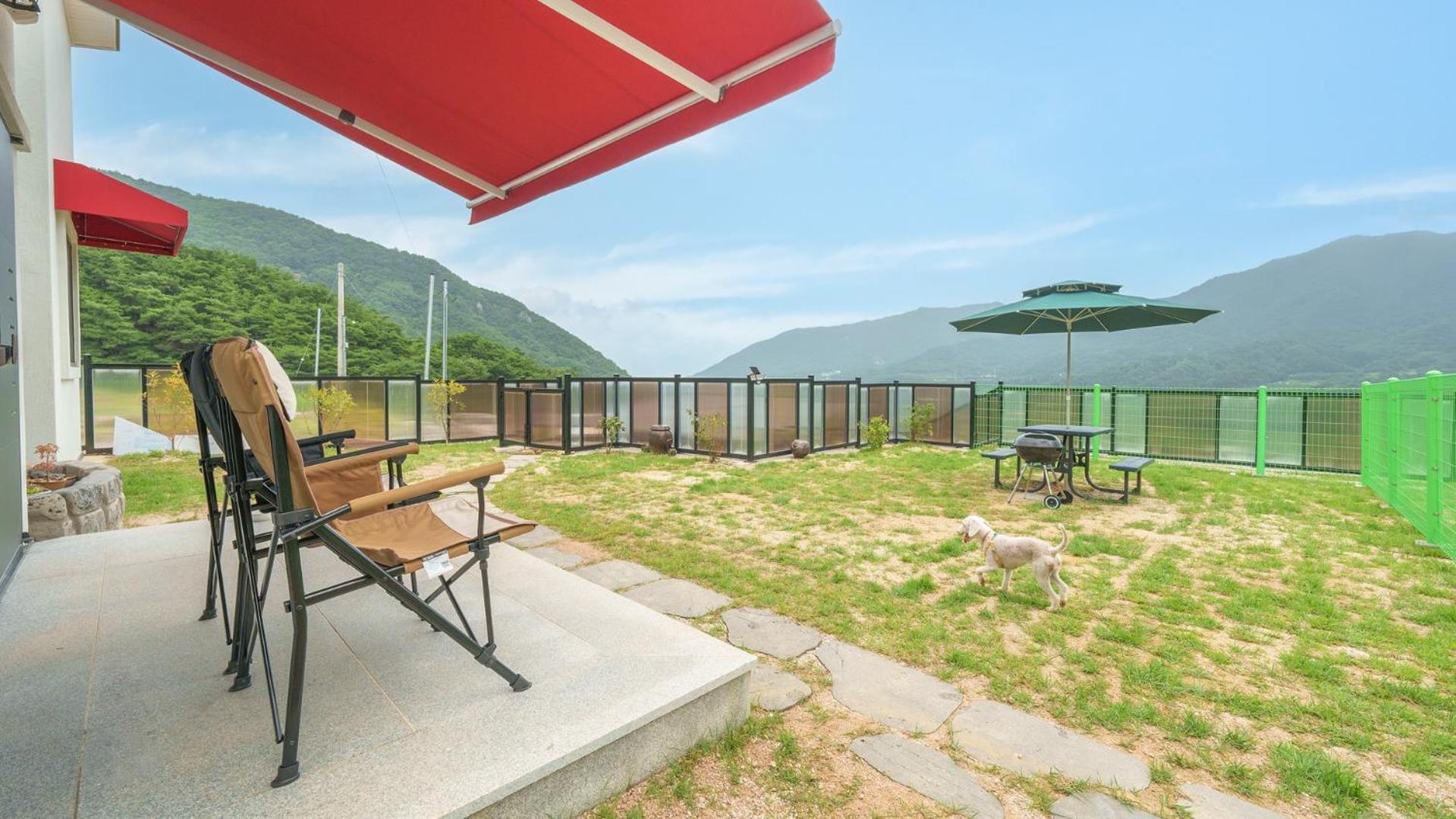 Gyeongsan Stage-ipple Pet Pension Room photo